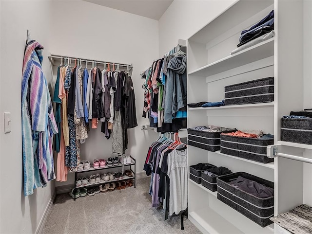 spacious closet with carpet