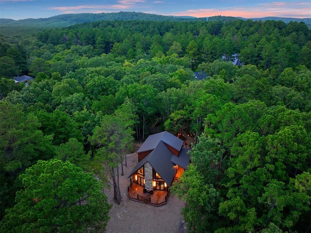 aerial view at dusk of a wooded view