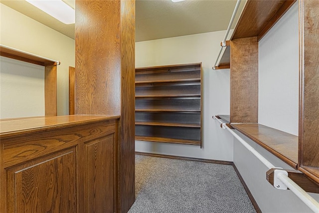 2612 SW 137th St, Oklahoma City, OK 73170 - spacious closet with carpet