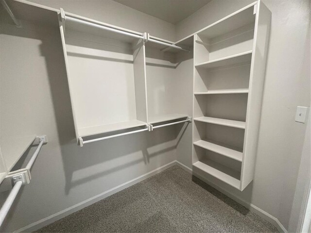 5012 Misty Wood Ln, Mustang, OK 73064 - spacious closet with dark carpet