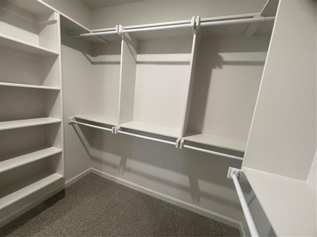 5012 Misty Wood Ln, Mustang, OK 73064 - spacious closet with dark carpet