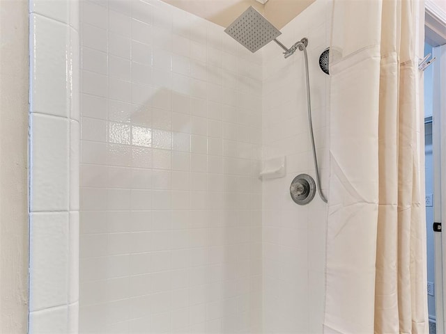 bathroom view of tiled shower