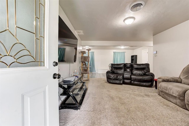 700 Redwood Dr, Noble, OK 73068 - living area with carpet