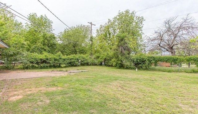 view of yard