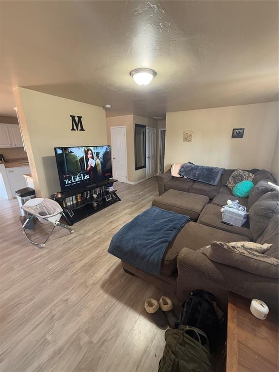 30738 NW Reno Rd, Hinton, OK 73047 - living area featuring light wood finished floors