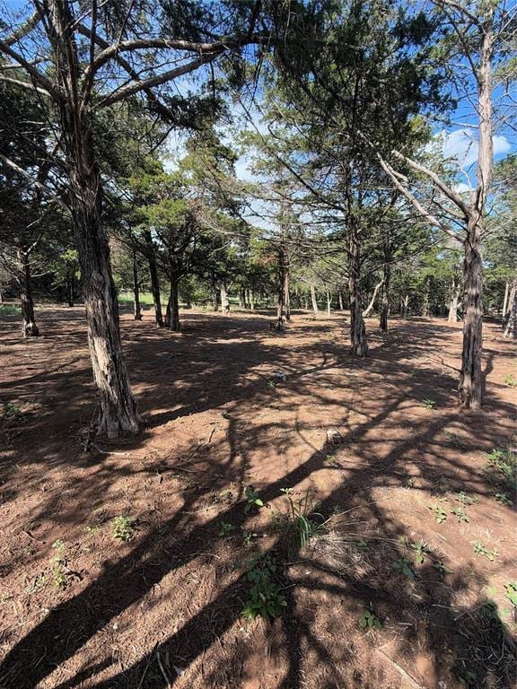 30738 NW Reno Rd, Hinton, OK 73047 - view of yard