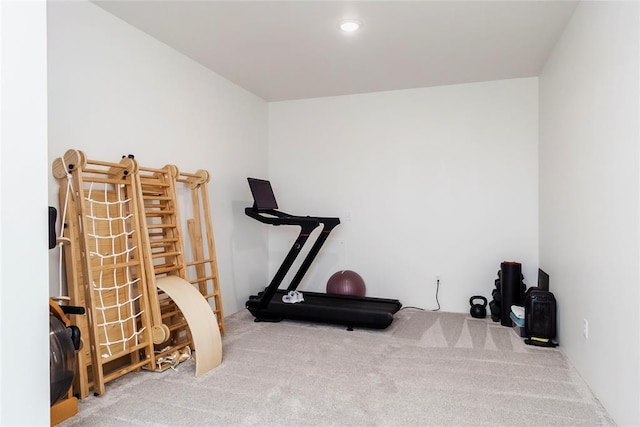 7310 S Brookwater Way, Stillwater, OK 74074 - workout area featuring carpet flooring