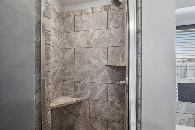 bathroom view of a shower stall