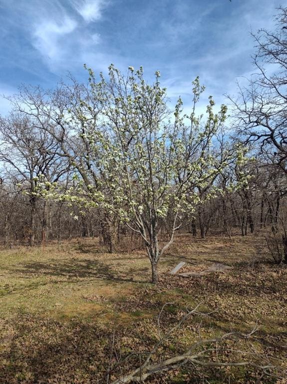 300746 Mcaly Rd, Foster, OK 73434 - view of local wilderness