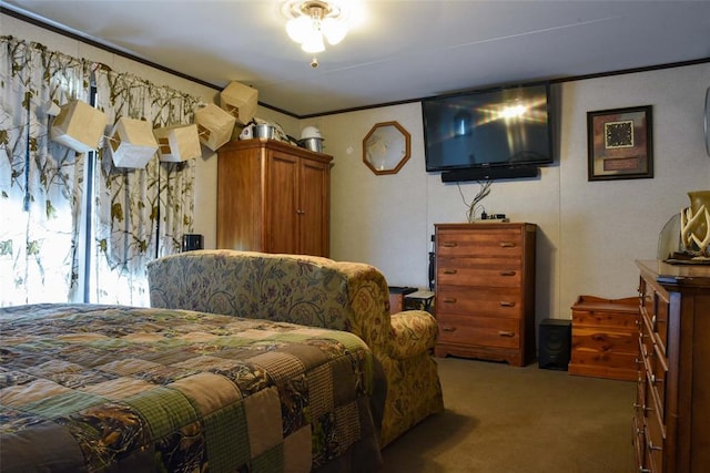 300746 Mcaly Rd, Foster, OK 73434 - bedroom featuring light carpet