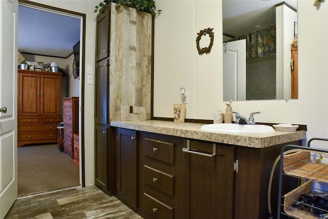 300746 Mcaly Rd, Foster, OK 73434 - bathroom with vanity and wood finished floors