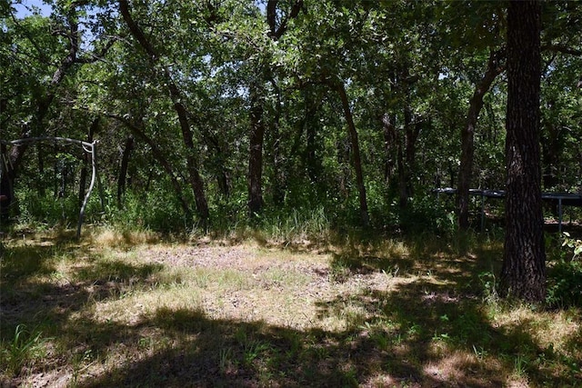 300746 Mcaly Rd, Foster, OK 73434 - view of nature