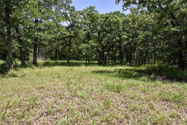 300746 Mcaly Rd, Foster, OK 73434 - view of woods