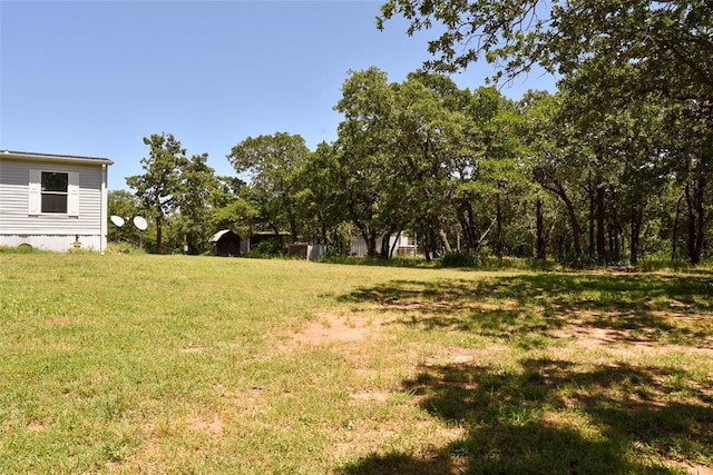 300746 Mcaly Rd, Foster, OK 73434 - view of yard