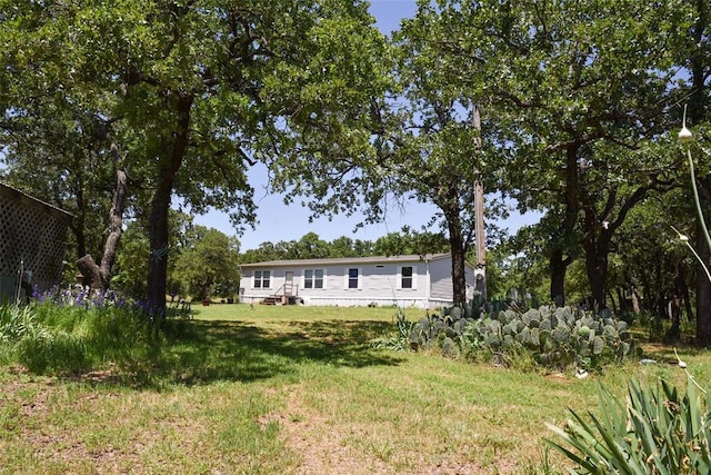 300746 Mcaly Rd, Foster, OK 73434 - view of grassy yard