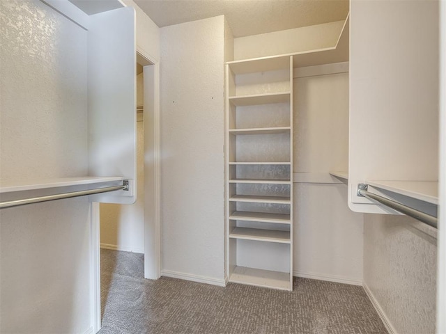 1011 Saint Andrews Dr, Edmond, OK 73025 - spacious closet featuring carpet floors