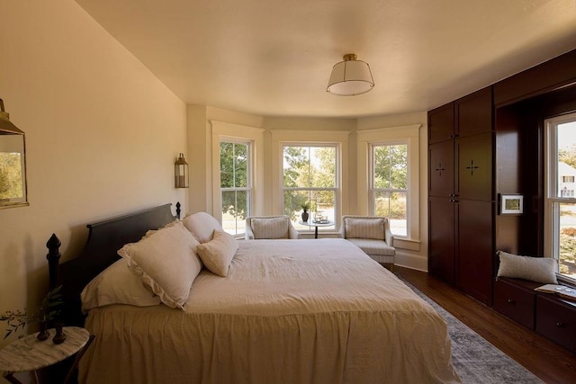1801 N Broadway Ave, Shawnee, OK 74804 - bedroom featuring multiple windows and dark wood finished floors