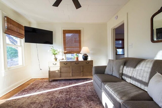 1801 N Broadway Ave, Shawnee, OK 74804 - living area with ceiling fan, baseboards, and dark wood-style floors