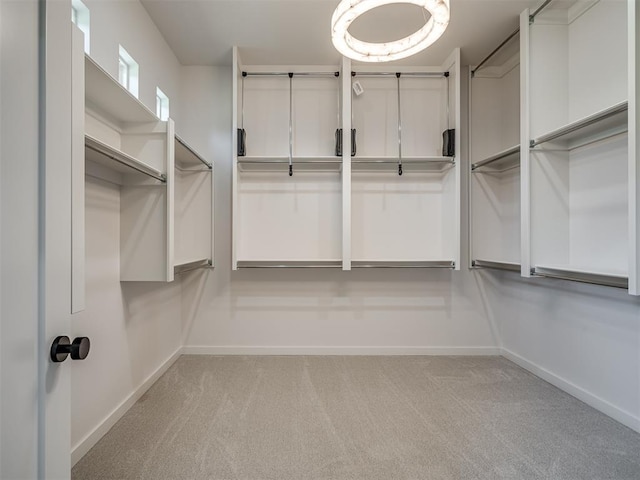 spacious closet featuring carpet flooring