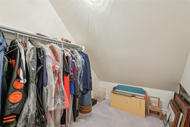 368 Millbrook Dr, Norman, OK 73072 - walk in closet with vaulted ceiling and carpet