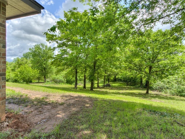 20140 N Rolling Meadows Dr, Luther, OK 73054 - view of green lawn