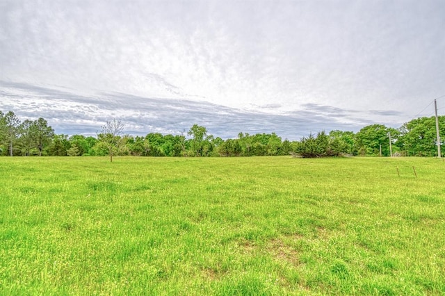view of yard featuring a rural view