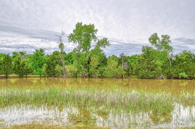 property view of water featuring a forest view
