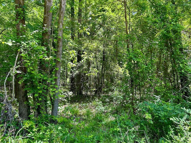 559 Poppy Rd, Broken Bow, OK 74728 - view of local wilderness featuring a forest view