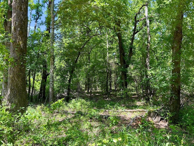 559 Poppy Rd, Broken Bow, OK 74728 - view of nature with a view of trees