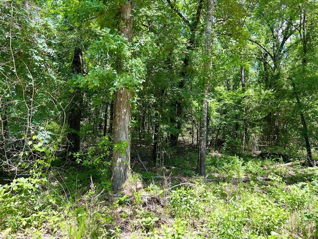 559 Poppy Rd, Broken Bow, OK 74728 - view of landscape with a forest view