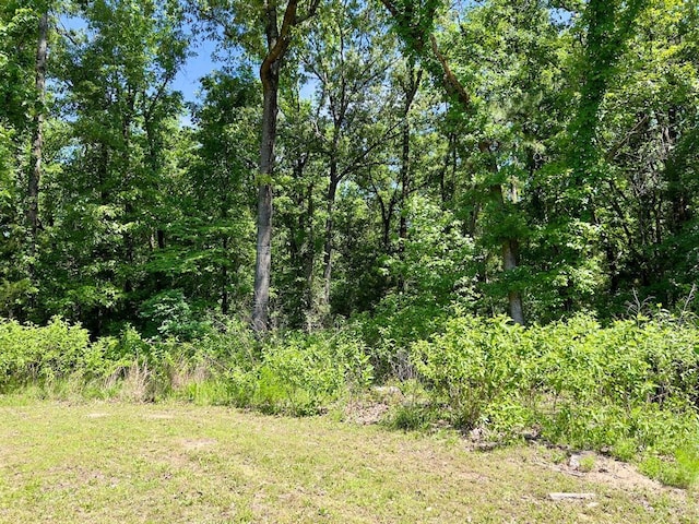 559 Poppy Rd, Broken Bow, OK 74728 - view of nature featuring a forest view