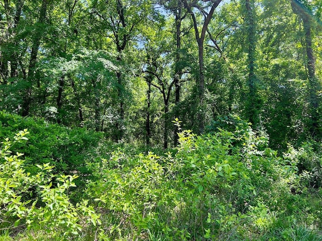 559 Poppy Rd, Broken Bow, OK 74728 - view of landscape with a view of trees