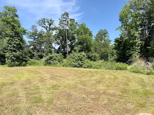 559 Poppy Rd, Broken Bow, OK 74728 - view of yard