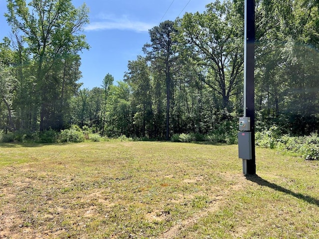 559 Poppy Rd, Broken Bow, OK 74728 - view of yard