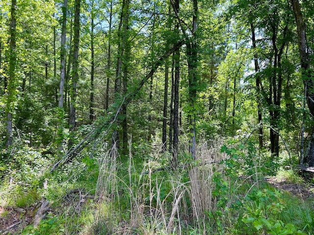 559 Poppy Rd, Broken Bow, OK 74728 - view of nature with a wooded view