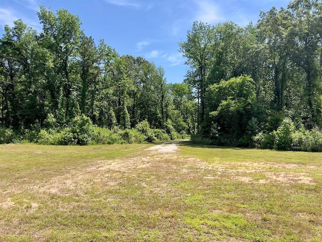 559 Poppy Rd, Broken Bow, OK 74728 - view of landscape featuring a wooded view