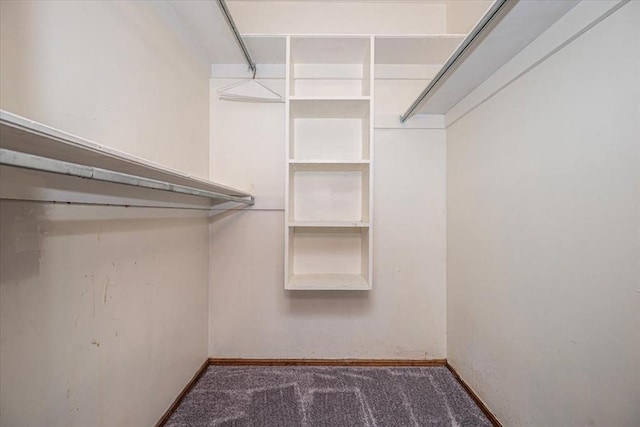 11125 NW 116th St, Yukon, OK 73099 - spacious closet with carpet flooring
