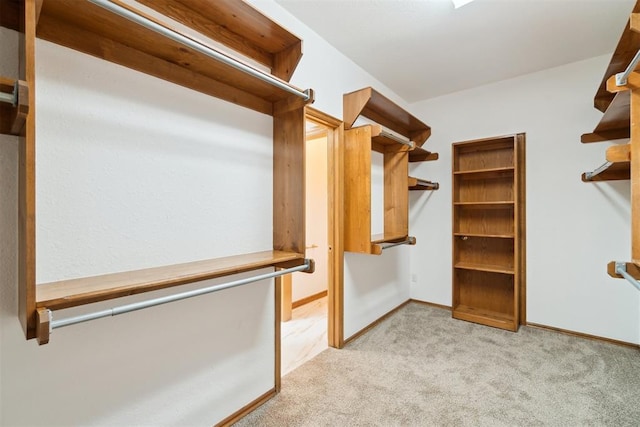 walk in closet with carpet