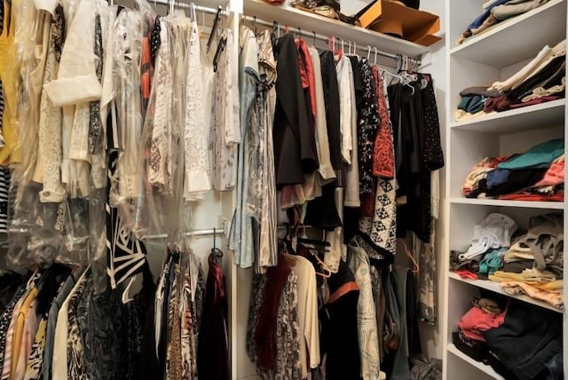 view of walk in closet