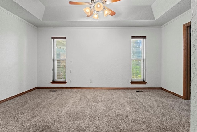 2001 Saber Ln, Weatherford, OK 73096 - unfurnished room with a tray ceiling, carpet, healthy amount of natural light, and ornamental molding