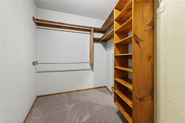 2001 Saber Ln, Weatherford, OK 73096 - walk in closet with carpet
