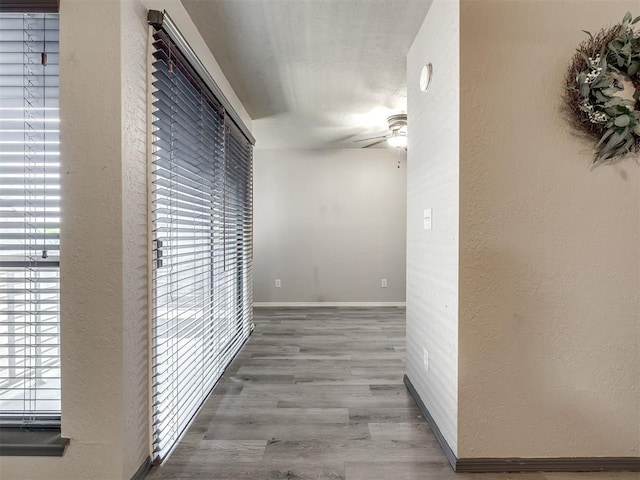 11530 N May Ave Unit D303, Oklahoma City, OK 73120 - hall featuring healthy amount of natural light and wood finished floors