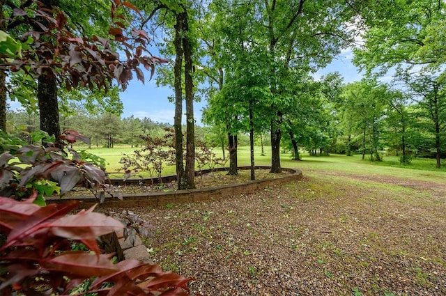 view of green lawn with view of wooded area