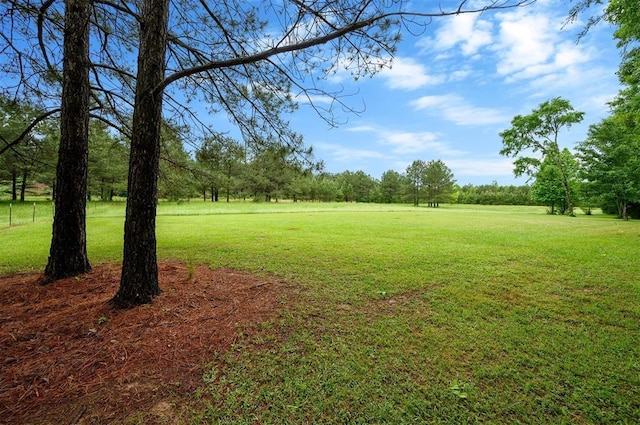 view of grassy yard