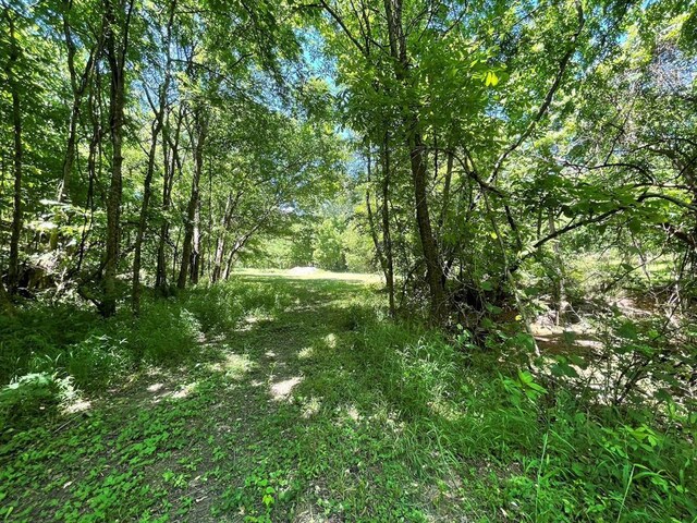 1920 Glover Golden Rd, Broken Bow, OK 74728 - view of nature