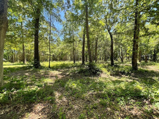1920 Glover Golden Rd, Broken Bow, OK 74728 - view of woods