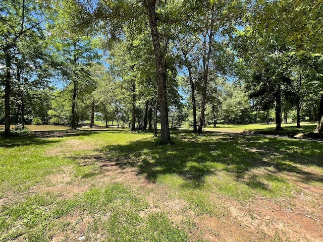 1920 Glover Golden Rd, Broken Bow, OK 74728 - view of green lawn