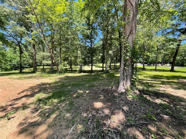 1920 Glover Golden Rd, Broken Bow, OK 74728 - view of yard with view of wooded area