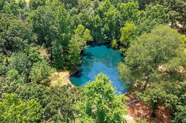1920 Glover Golden Rd, Broken Bow, OK 74728 - photo 48