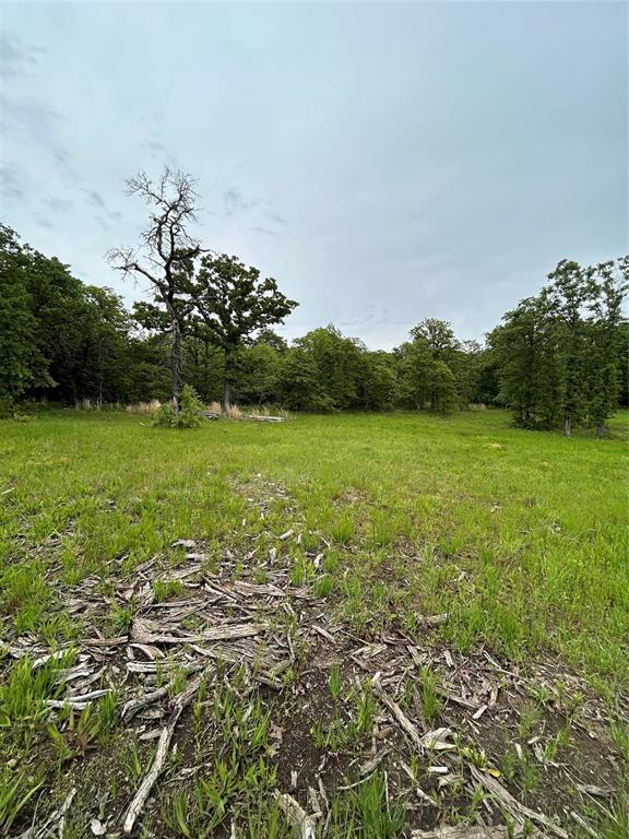 view of wooded area